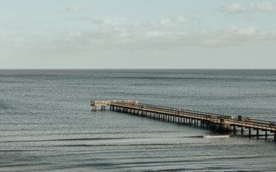 Lorem ipsum 11